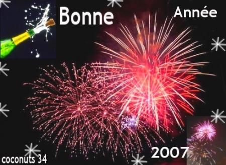 {BONNE ANNEE HAPPY NEW YEAR}