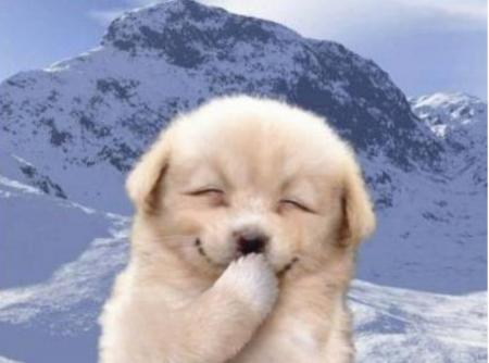 {HAVE A NICE WEEK-END  ;-) }