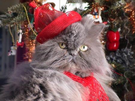 {JOYEUSES FTES }