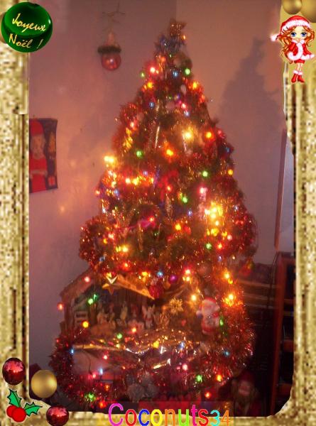 {Voilà c'est mon sapin}